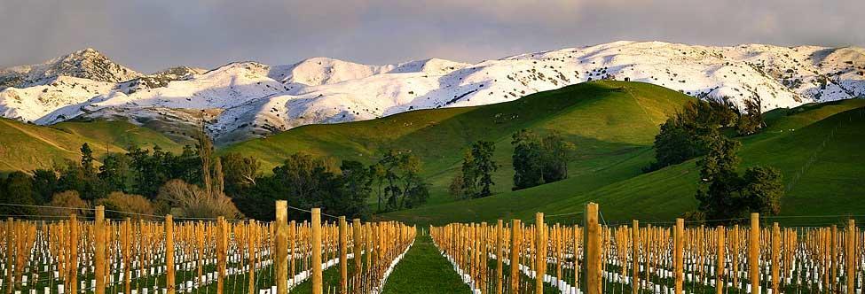 Marlborough Vintners Accommodation Blenheim Eksteriør billede