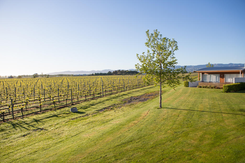 Marlborough Vintners Accommodation Blenheim Eksteriør billede