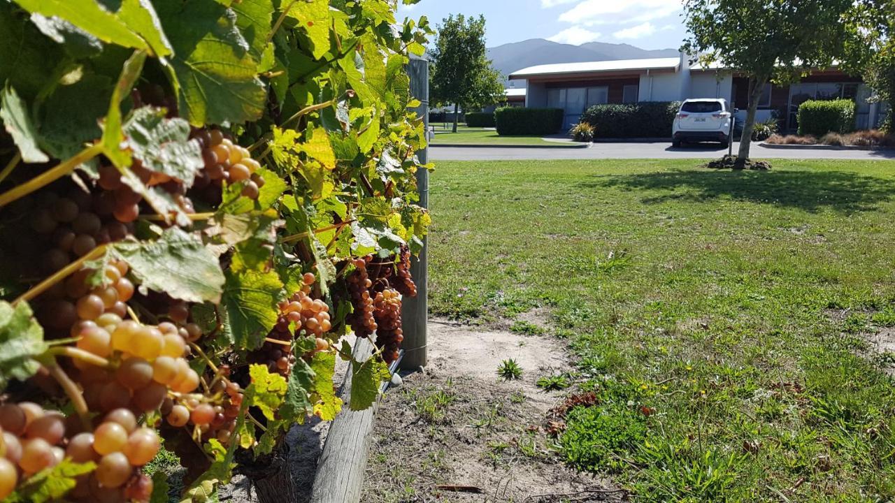 Marlborough Vintners Accommodation Blenheim Eksteriør billede